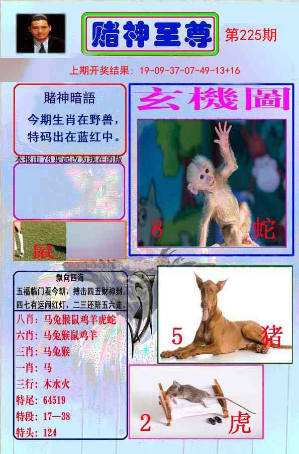 225期赌神至尊[图]