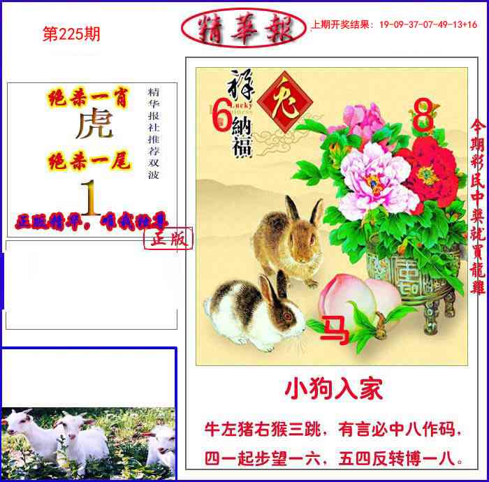 225期新精华报报[图]