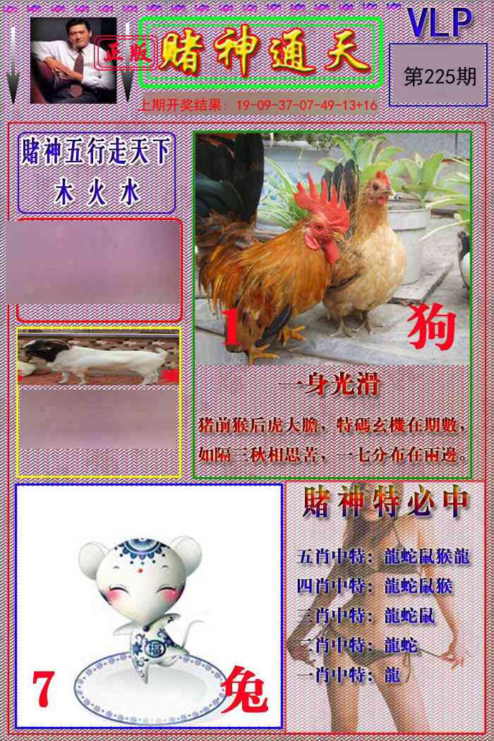 225期赌神通天报[图]