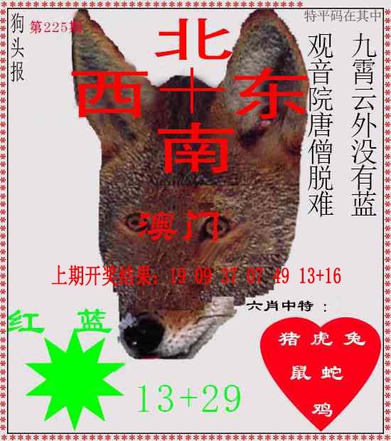 225期狗头报[图]