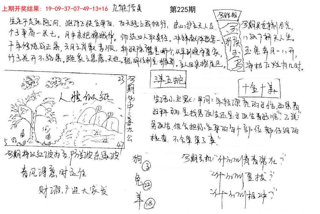 225期手写九龙内幕[图]