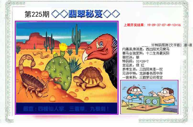 225期另翡翠秘笈[图]