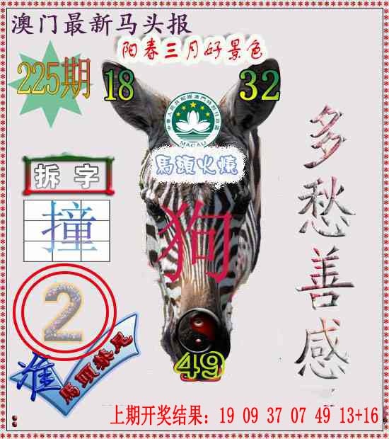 225期马头报[图]