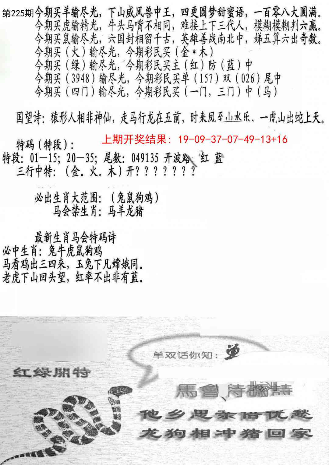 225期蛇报B[图]