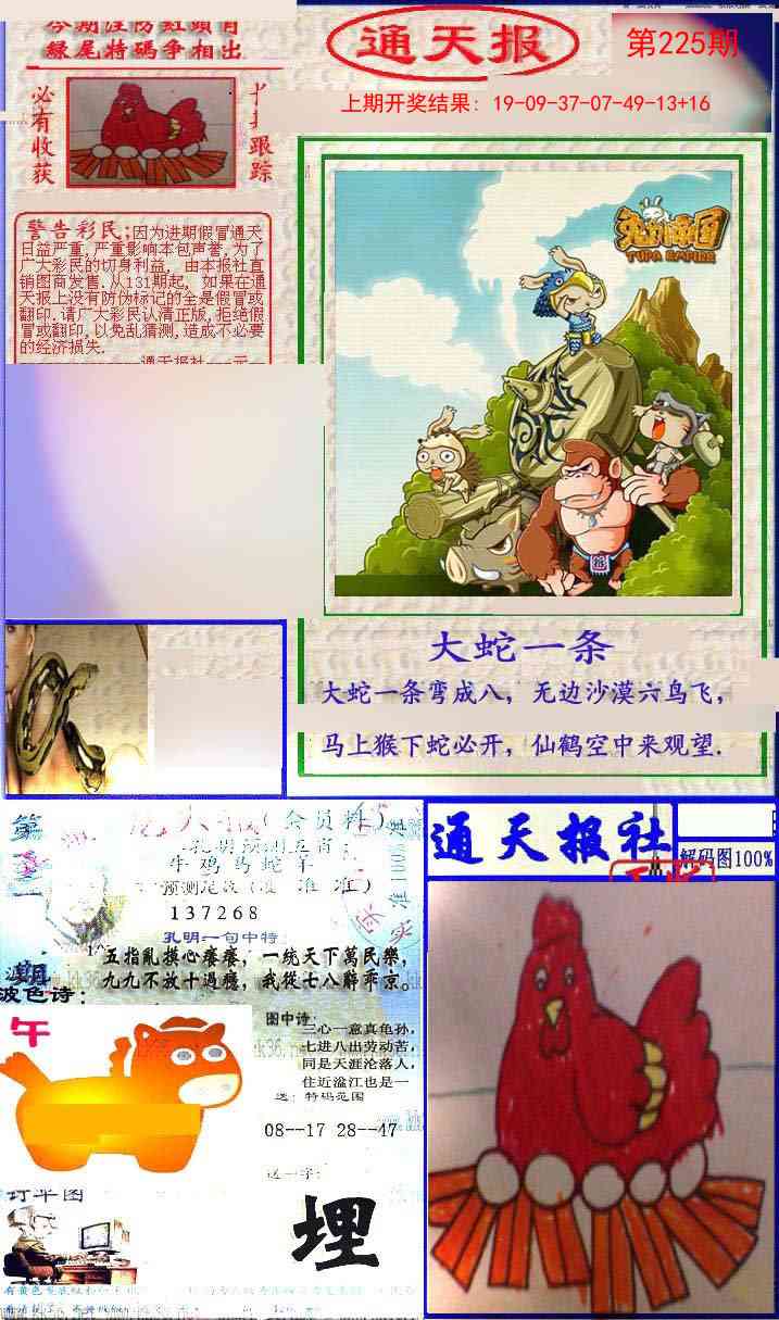 225期实力通天报[图]