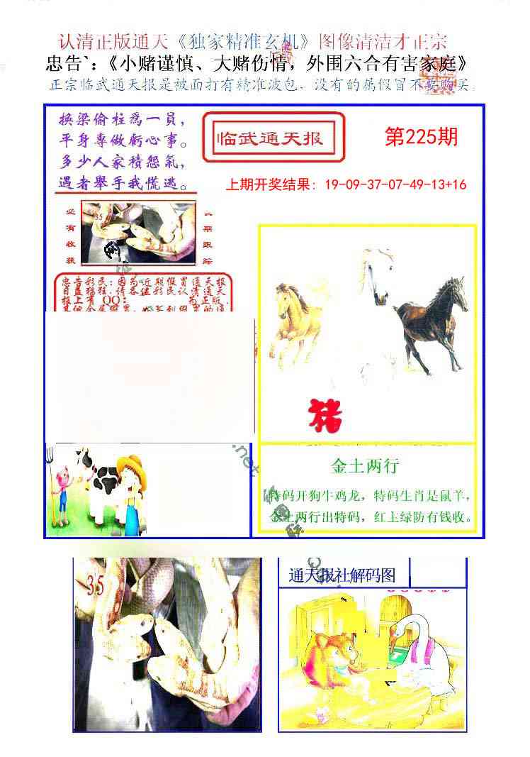 225期临武通天报[图]