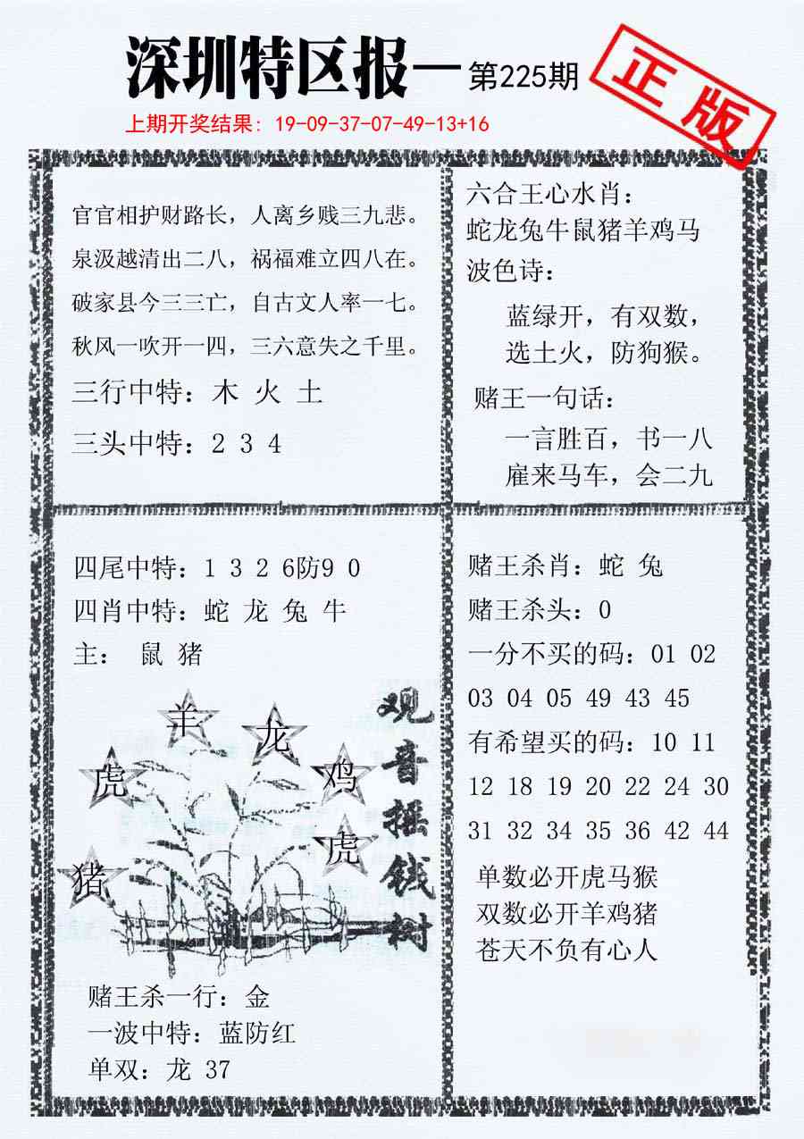 225期深圳特区报A[图]