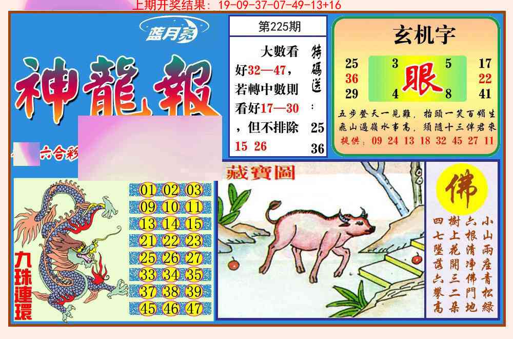 225期神龙报[图]