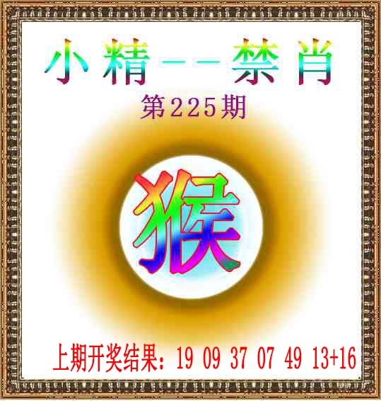 225期小精禁肖[图]