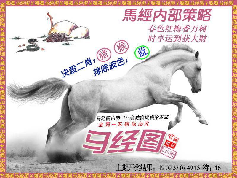 225期马经5[图]