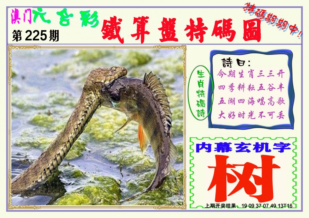 225期铁算盘特码图[图]