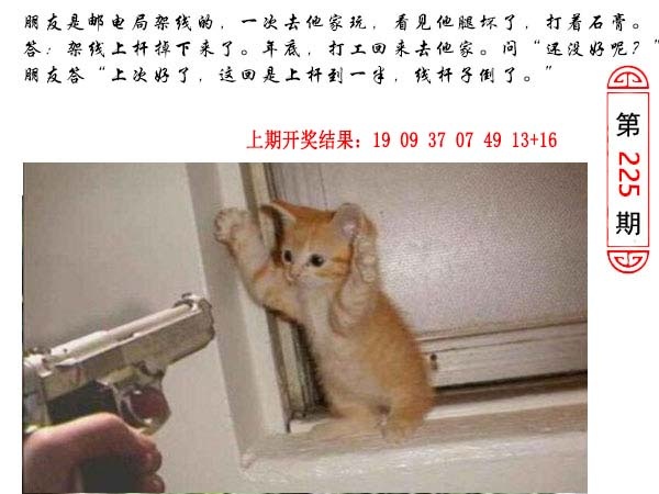 225期澳门生活幽默[图]