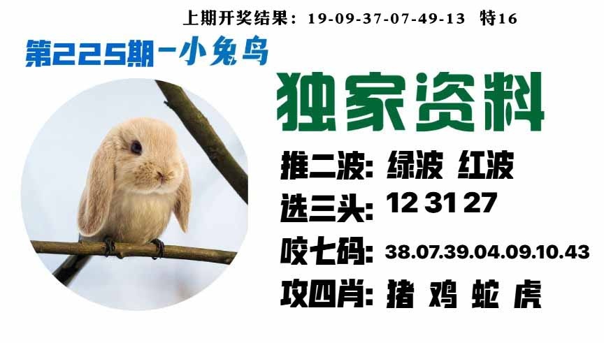 225期小兔鸟[图]