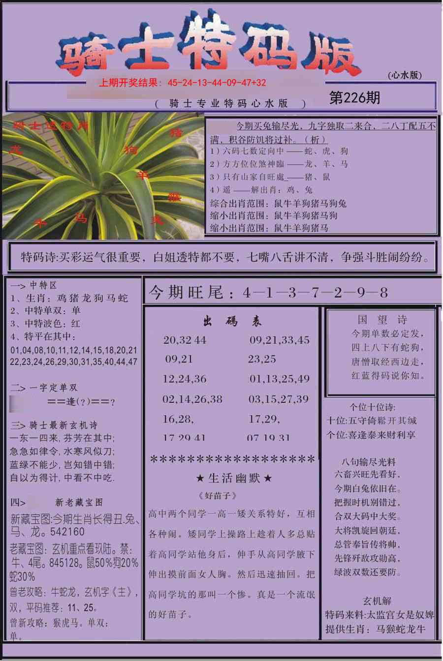 226期骑士特码版[图]