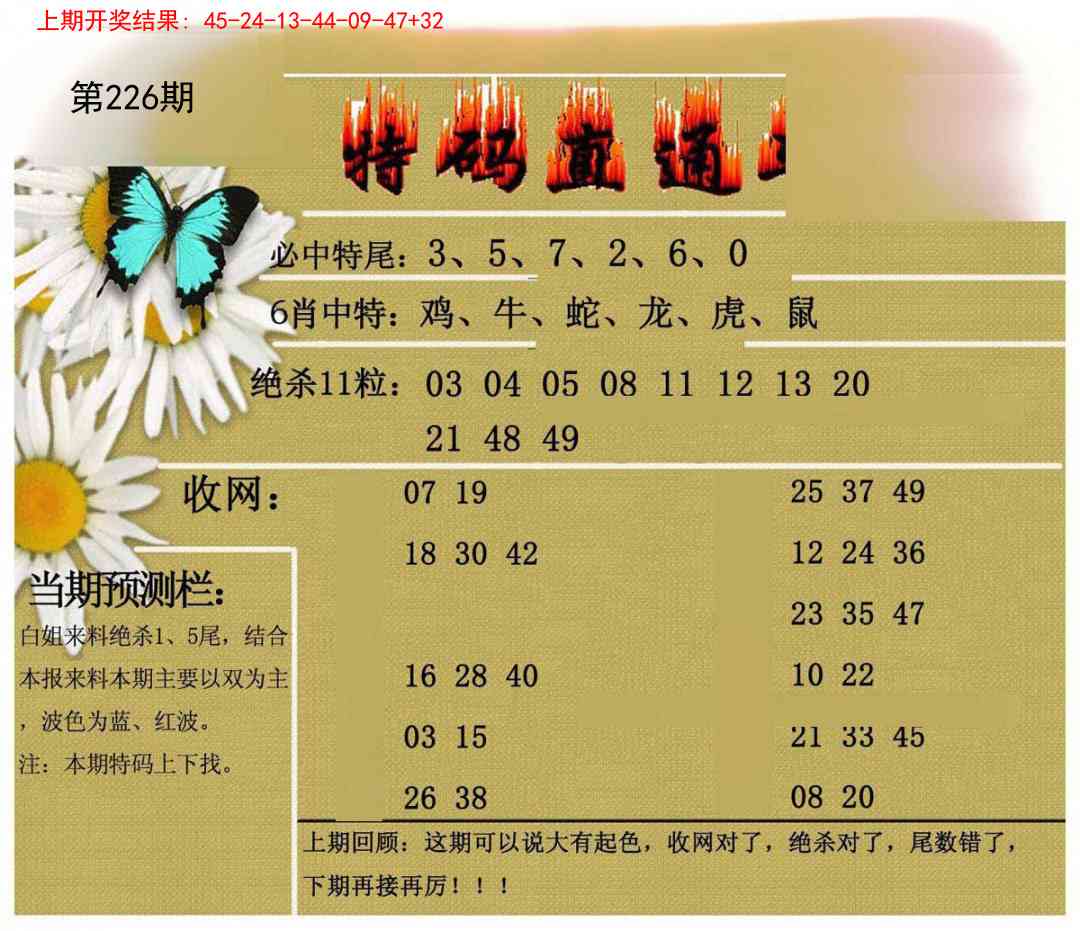 226期特码直通车[图]