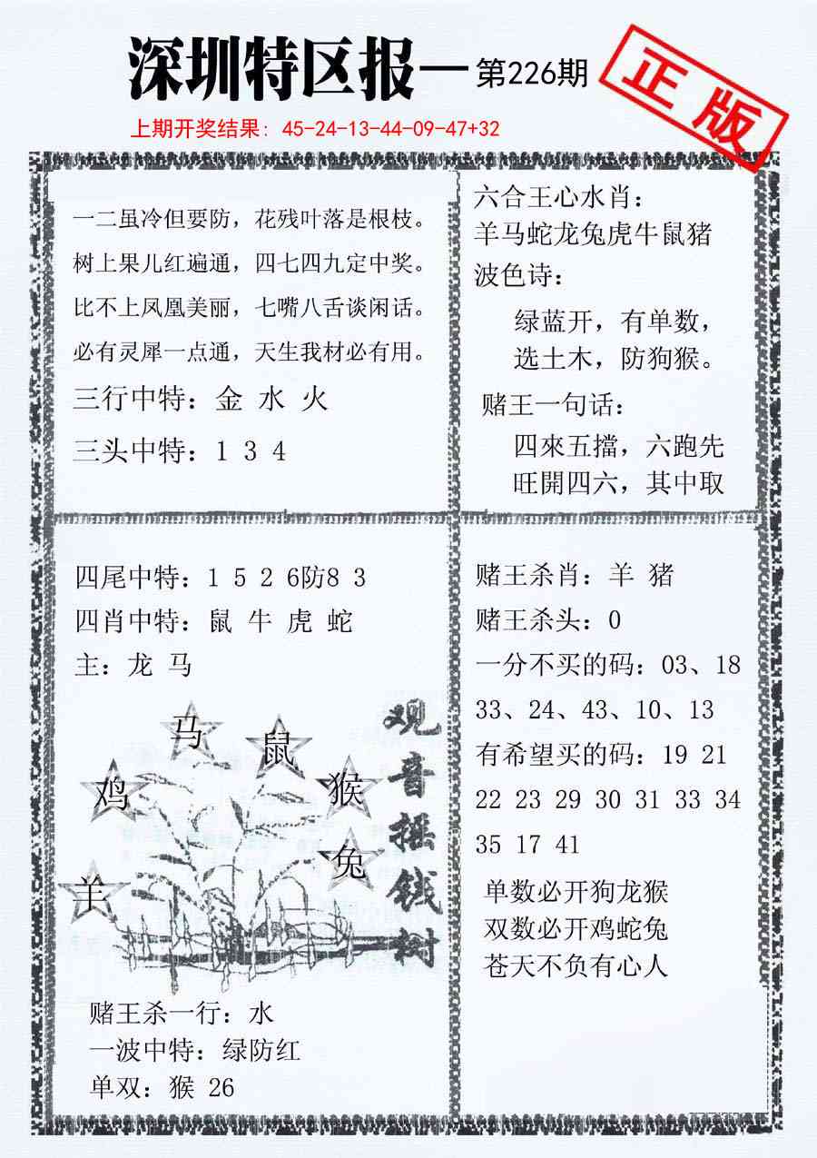 226期深圳特区报A[图]