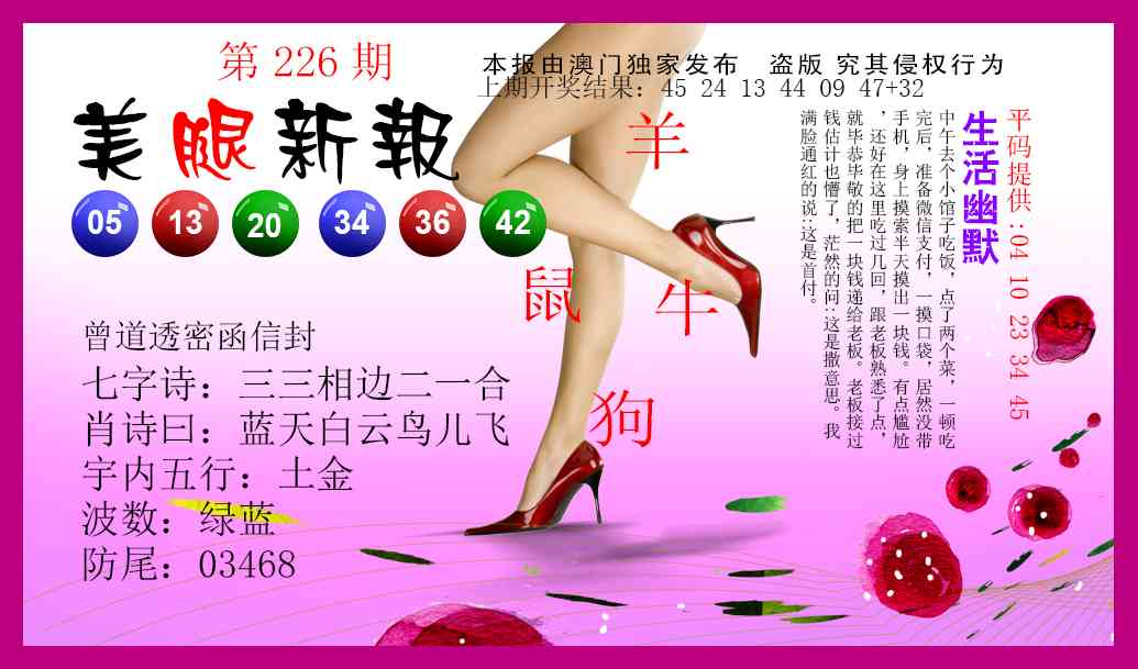 226期美腿新报[图]