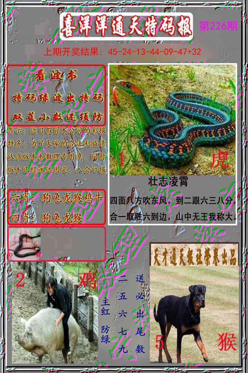 226期洋通报[图]