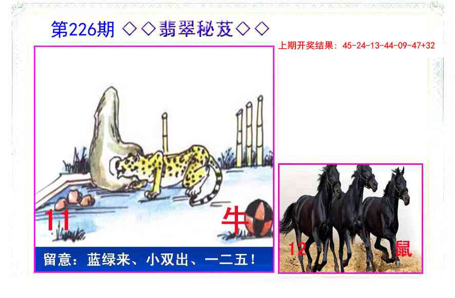 226期翡翠报[图]