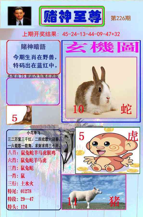 226期赌神至尊[图]