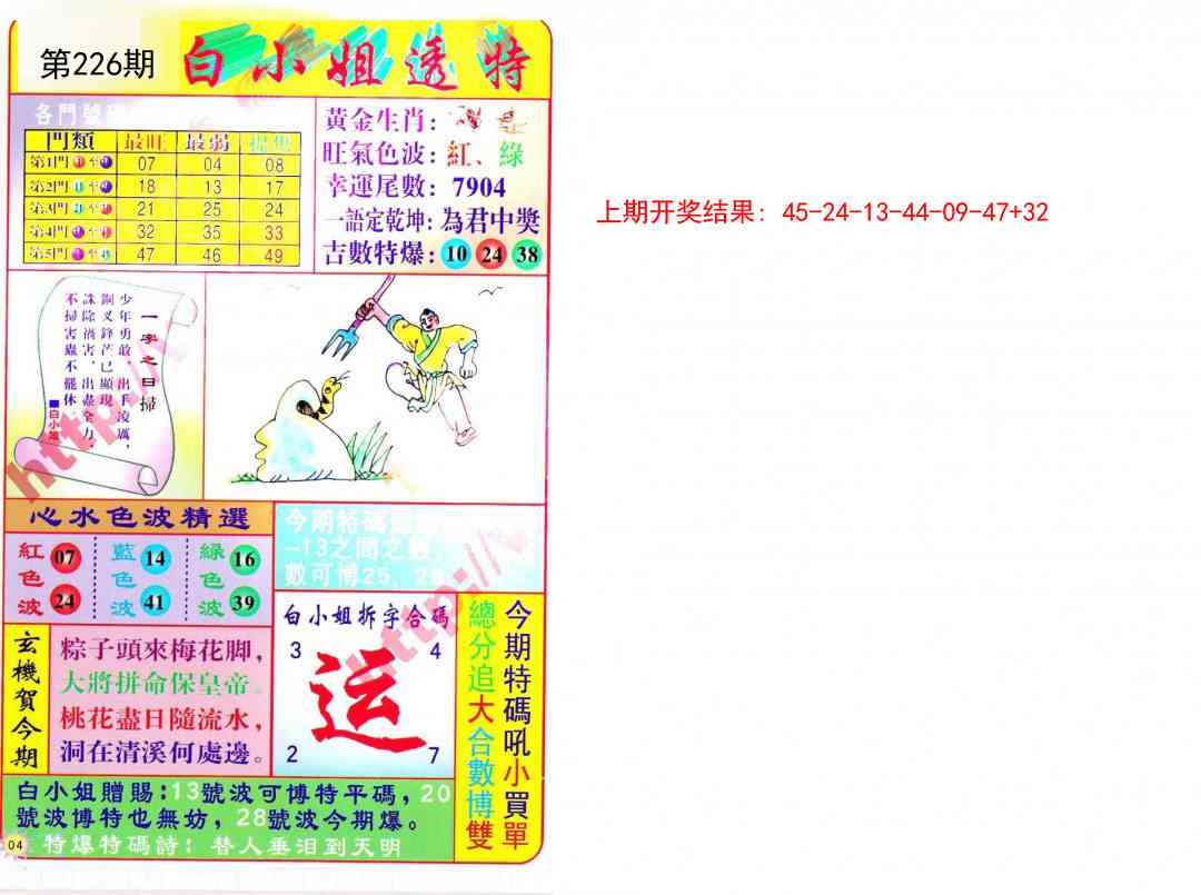 226期白小姐透特[图]