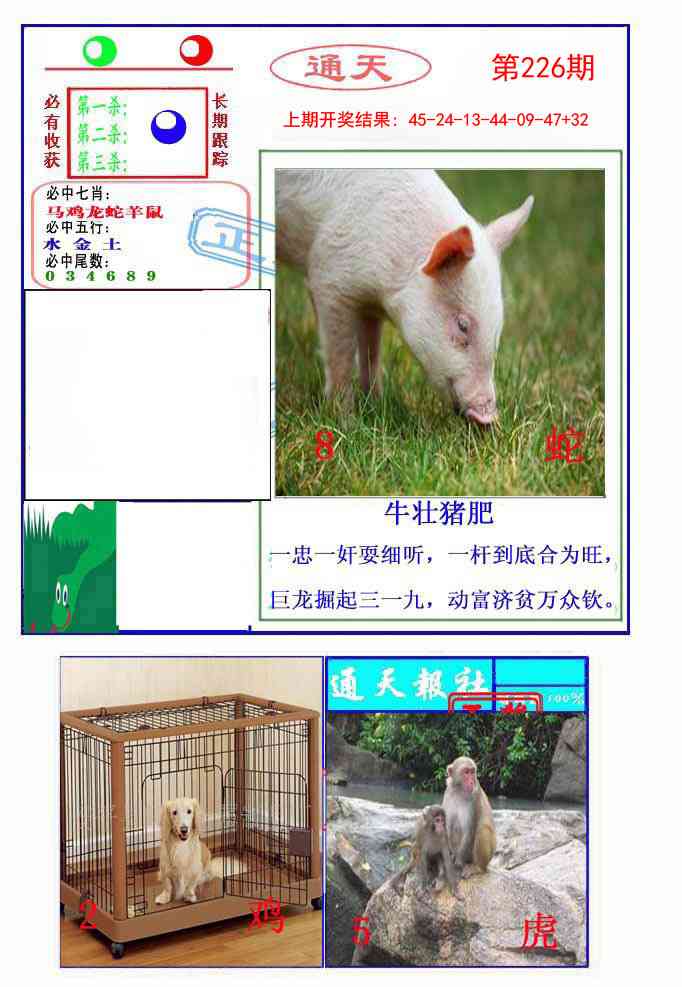 226期通天杀波图2[图]