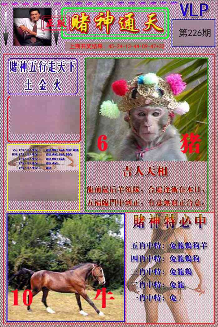 226期赌神通天报[图]
