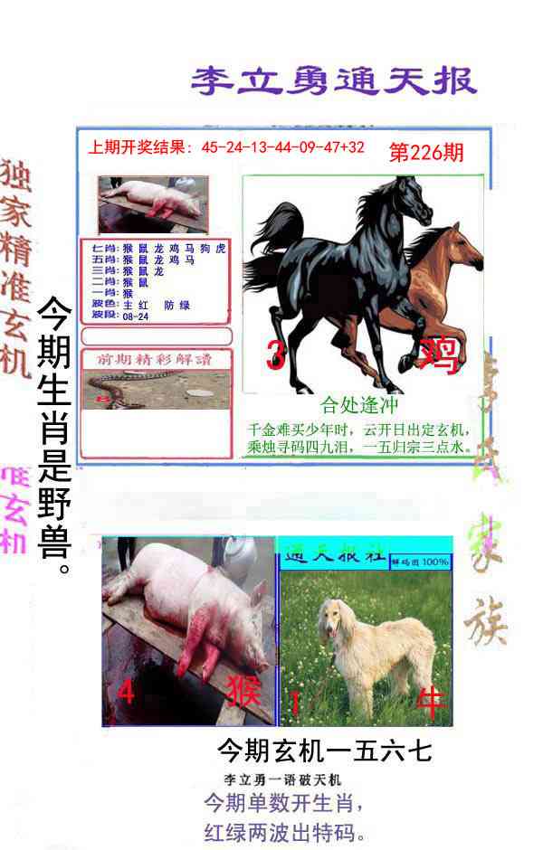 226期李立勇通天报[图]