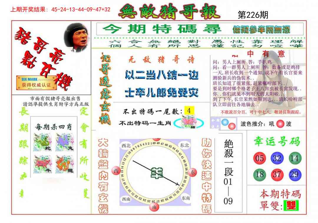 226期无敌猪哥[图]