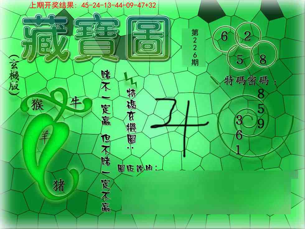 226期九龍玄机报[图]