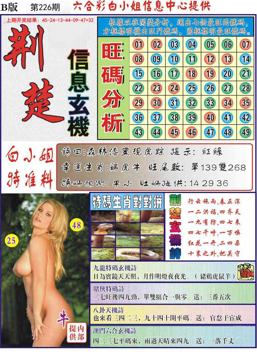 226期荆楚信息玄机B[图]
