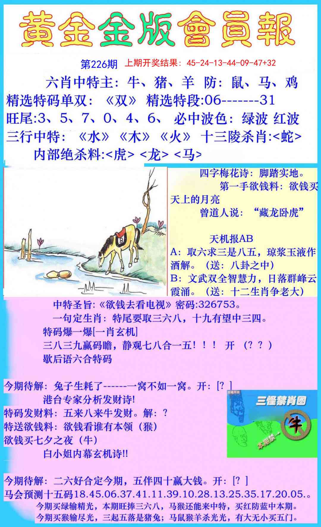 226期黄金金版会员报[图]