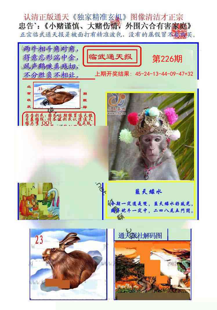 226期临武通天报[图]
