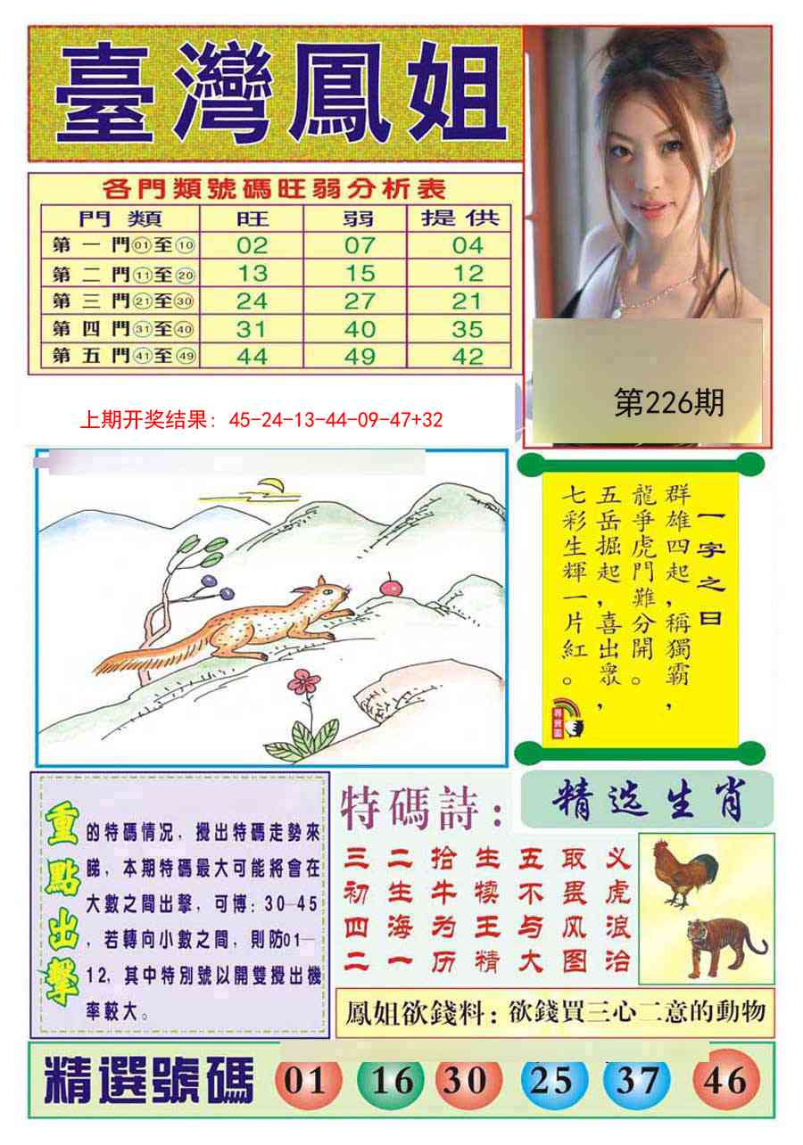 226期台湾凤姐[图]