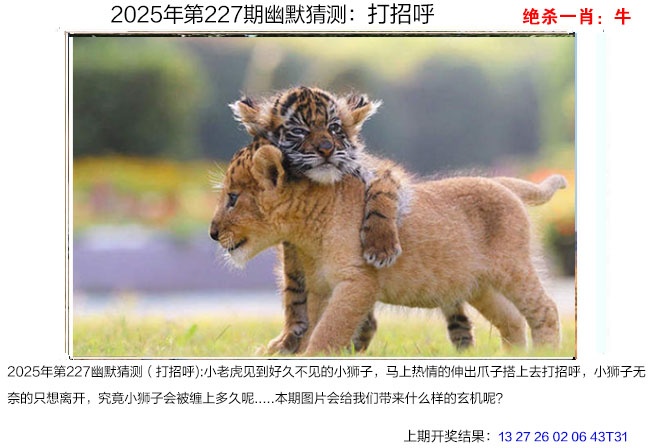 227期幽默猜测[图]