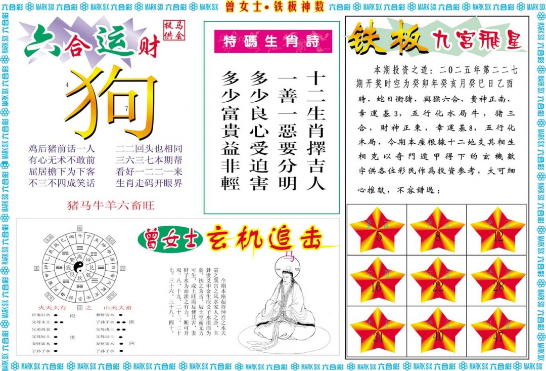 227期曾女士铁板神数B[图]