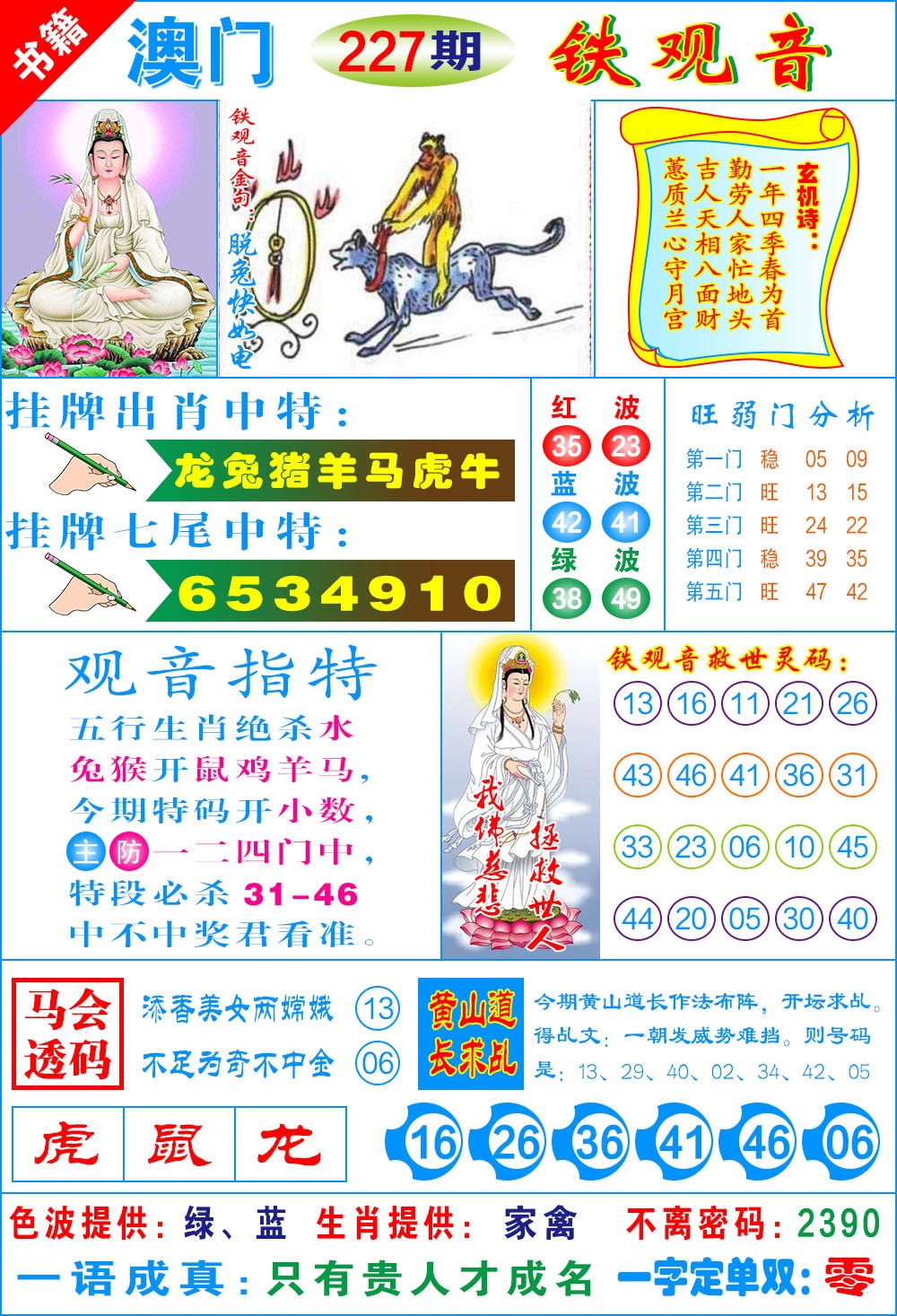 227期澳门铁观音[图]