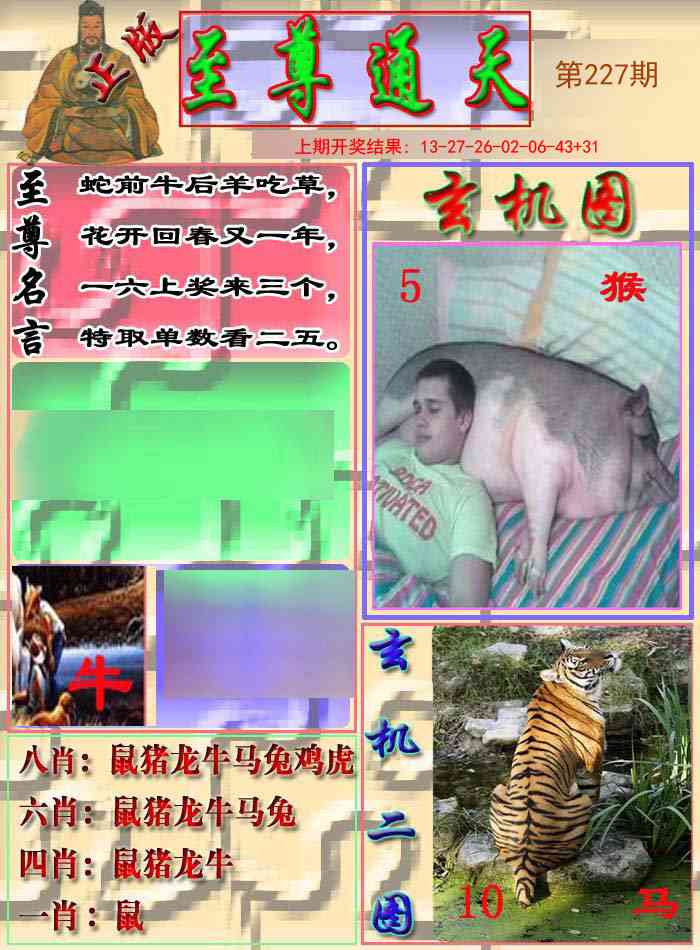 227期至通报[图]