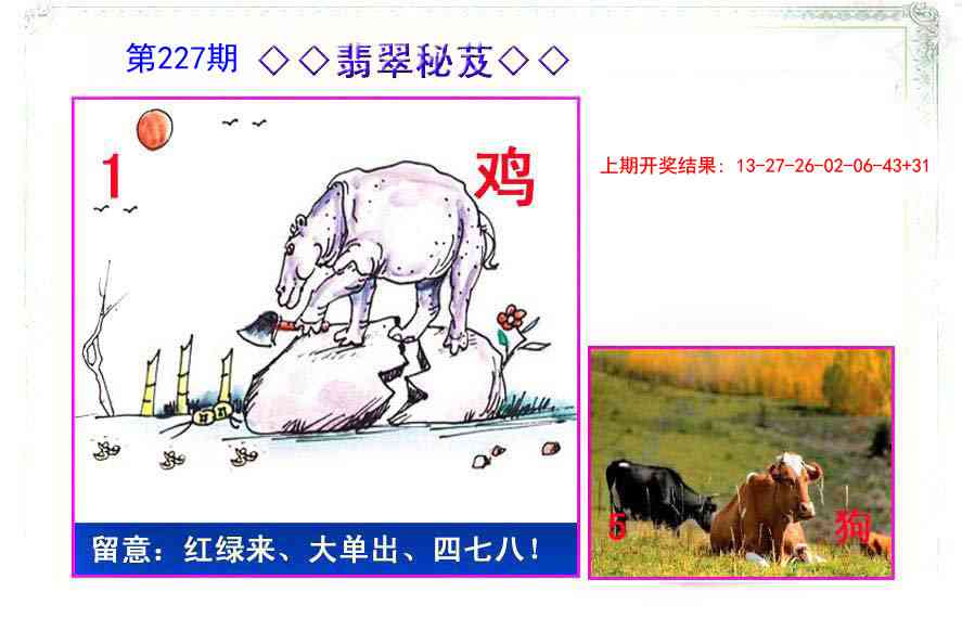 227期翡翠报[图]