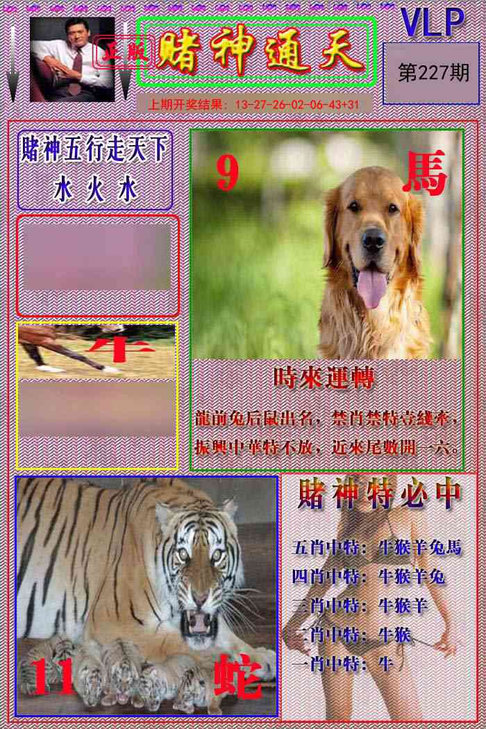 227期赌神通天报[图]