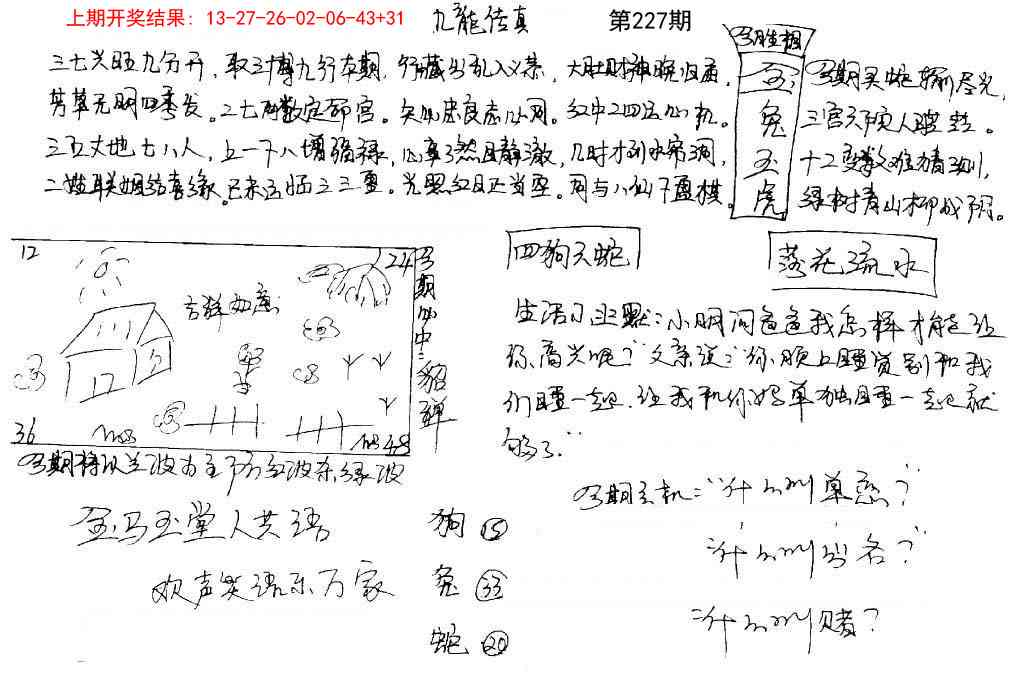 227期手写九龙内幕[图]