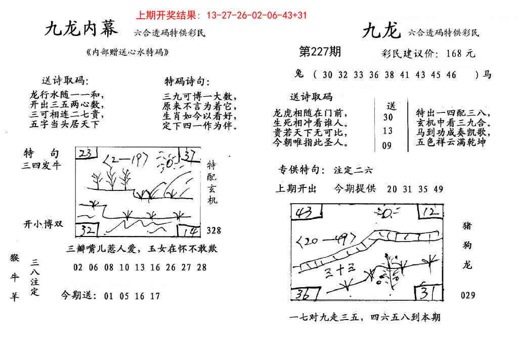 227期九龙内幕[图]