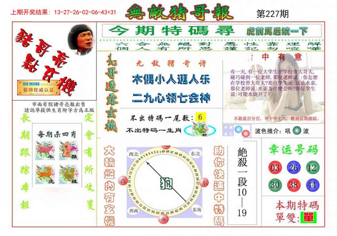 227期无敌猪哥[图]