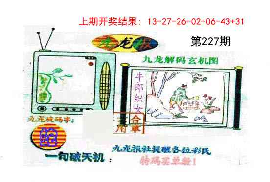 227期九龙报[图]