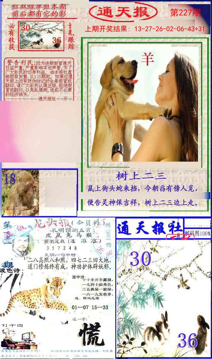 227期实力通天报[图]