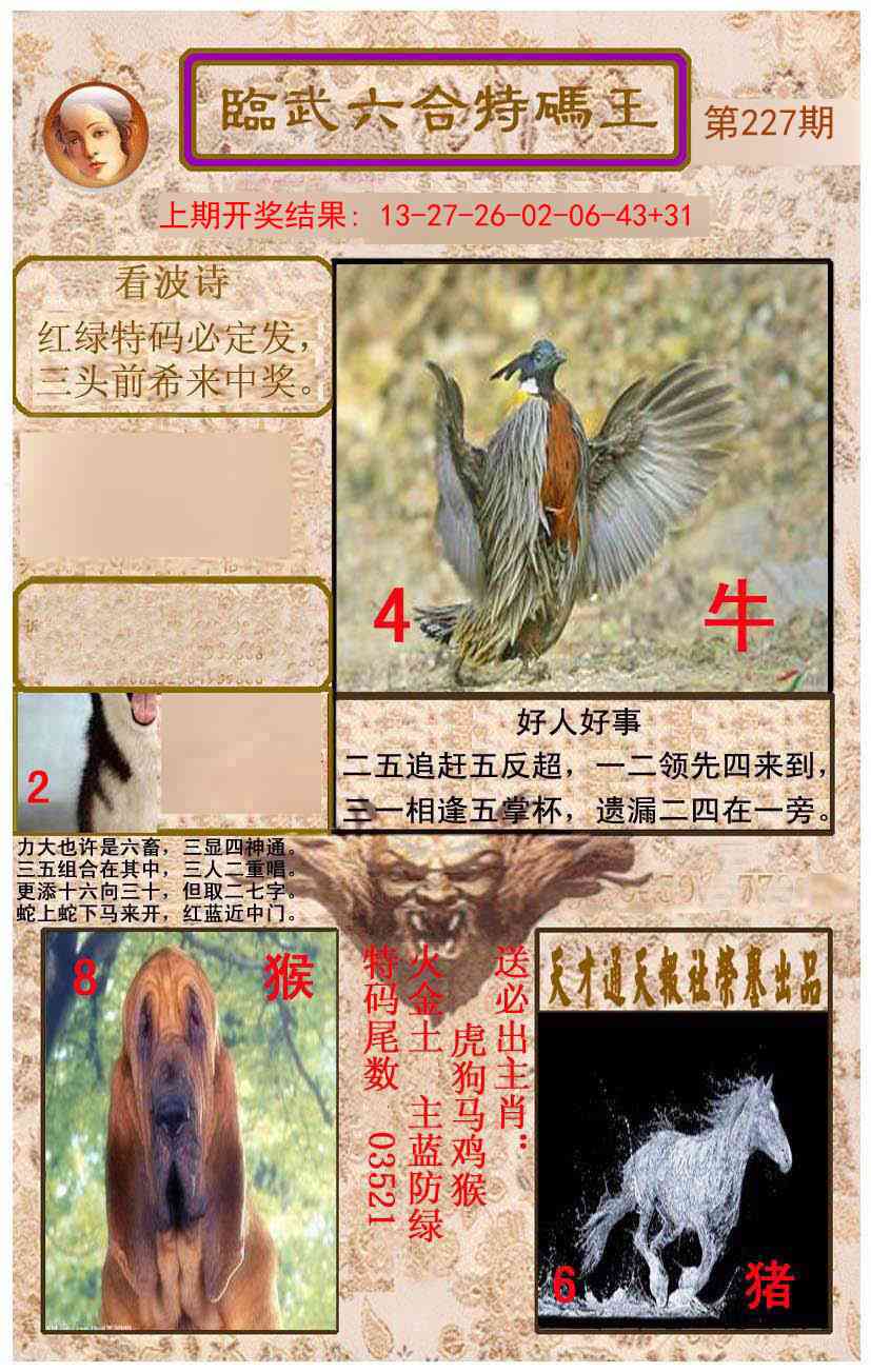 227期临武六合特码王[图]