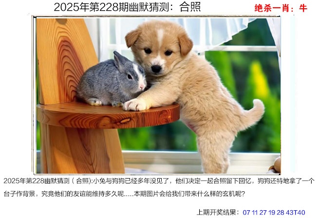 228期幽默猜测[图]