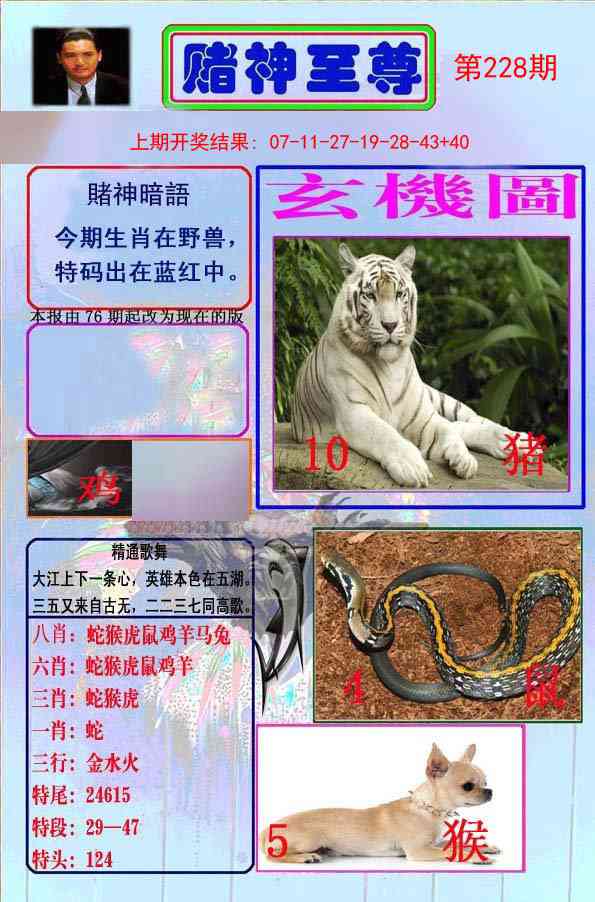 228期赌神至尊[图]