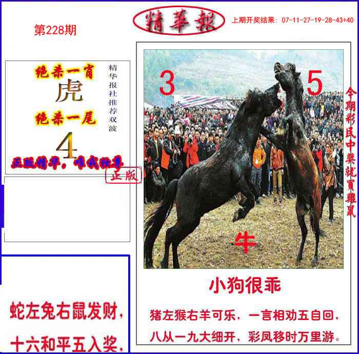 228期新精华报报[图]