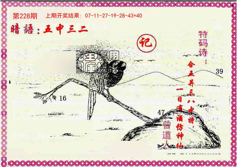 228期新暗语报[图]